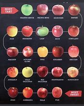 Image result for Apple Taste Chart
