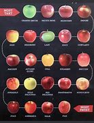 Image result for Apple Fruit Comparison