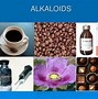 Image result for alfaloideo