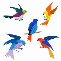 Image result for Bird Vector Graphics