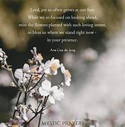Image result for Praying for You Real Flowers Image
