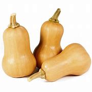Image result for Small Butternut Squash