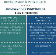 Image result for Difference Between Homozygous and Heterozygous