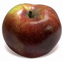 Image result for Blue Pearmain Apple