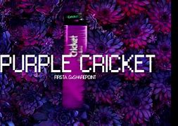 Image result for Cricket Animal