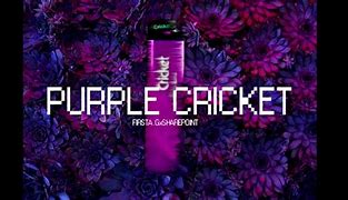 Image result for Cricket Protein