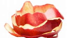 Image result for Peeled Apple Slices Clip Art