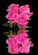 Image result for Animated Pink Rose
