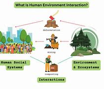 Image result for Human Environment Interaction Cartoon