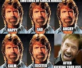 Image result for Chuck Norris Memes