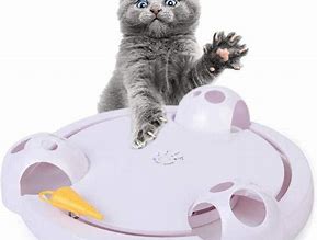 Image result for New Cat Toys