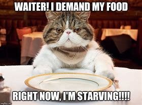 Image result for Starving Funny