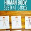 Image result for Free Human Body Printables