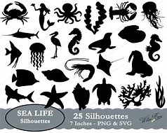 Image result for Sea Life Silhouette Clip Art