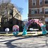 Image result for Organic Balloon Arch