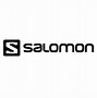 Image result for Salomon Group