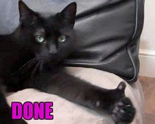 Image result for Done Cat Meme