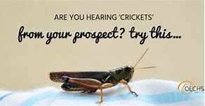 Image result for Hearing Crickets