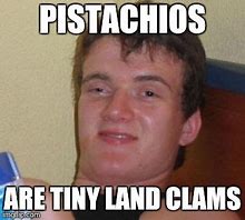 Image result for Pistachio Meme
