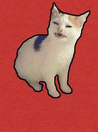 Image result for Sad Cat Meme Yelling