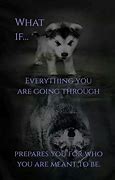 Image result for Wolf Self Care Day