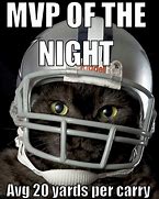 Image result for Dallas Cowboys Cat Meme