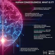 Image result for Human Consciousness