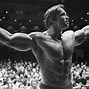 Image result for Arnold Schwarzenegger Desktop Wallpaper