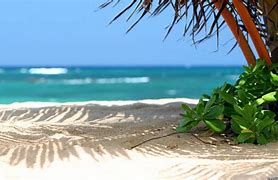Image result for Free Beach Scenes