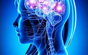Image result for Stress and the Brain