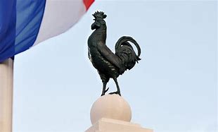 Image result for Le Coq En France