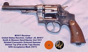 Image result for Smith and Wesson Subcompact 9Mm