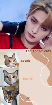 Image result for Skz Lee Know Cats