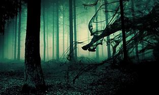 Image result for Dark Scary Nature