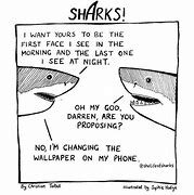 Image result for Shark Selfie Meme