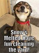 Image result for Snow Melting Meme