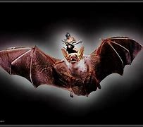 Image result for Dire Bat Painted