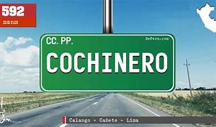 Image result for cochinero