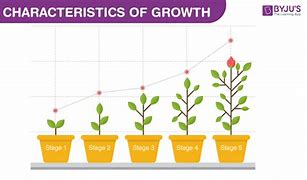 Image result for Growth and Development Biology
