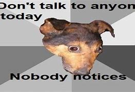 Image result for Depression Dog Meme