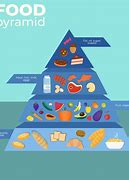 Image result for Dash Diet Pyramid