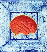 Image result for Red Brain