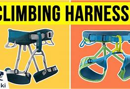 Image result for Climbing Harness Clips