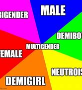 Image result for Math Gender Meme