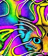 Image result for Psychedelic Trippy Art Cat