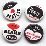 Image result for Beatles Bug