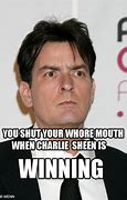 Image result for Charlie Sheen Funny Memes