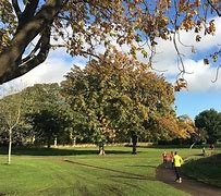 Image result for ParkRun Pics
