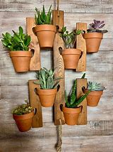 Image result for Wall Mounted Stand Off Plant Hanger with Tray