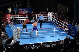 Image result for Boxing Winner